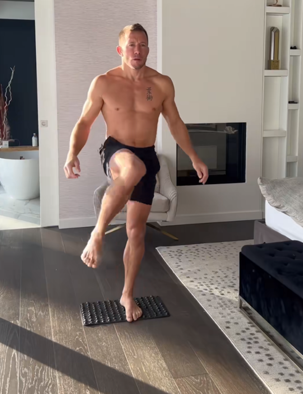 Georges St Pierre